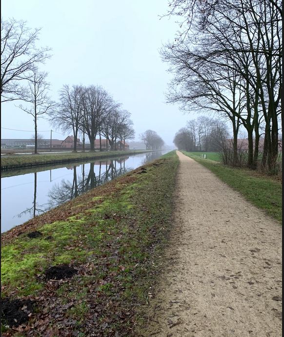 Kolonie   Ringwal Oost