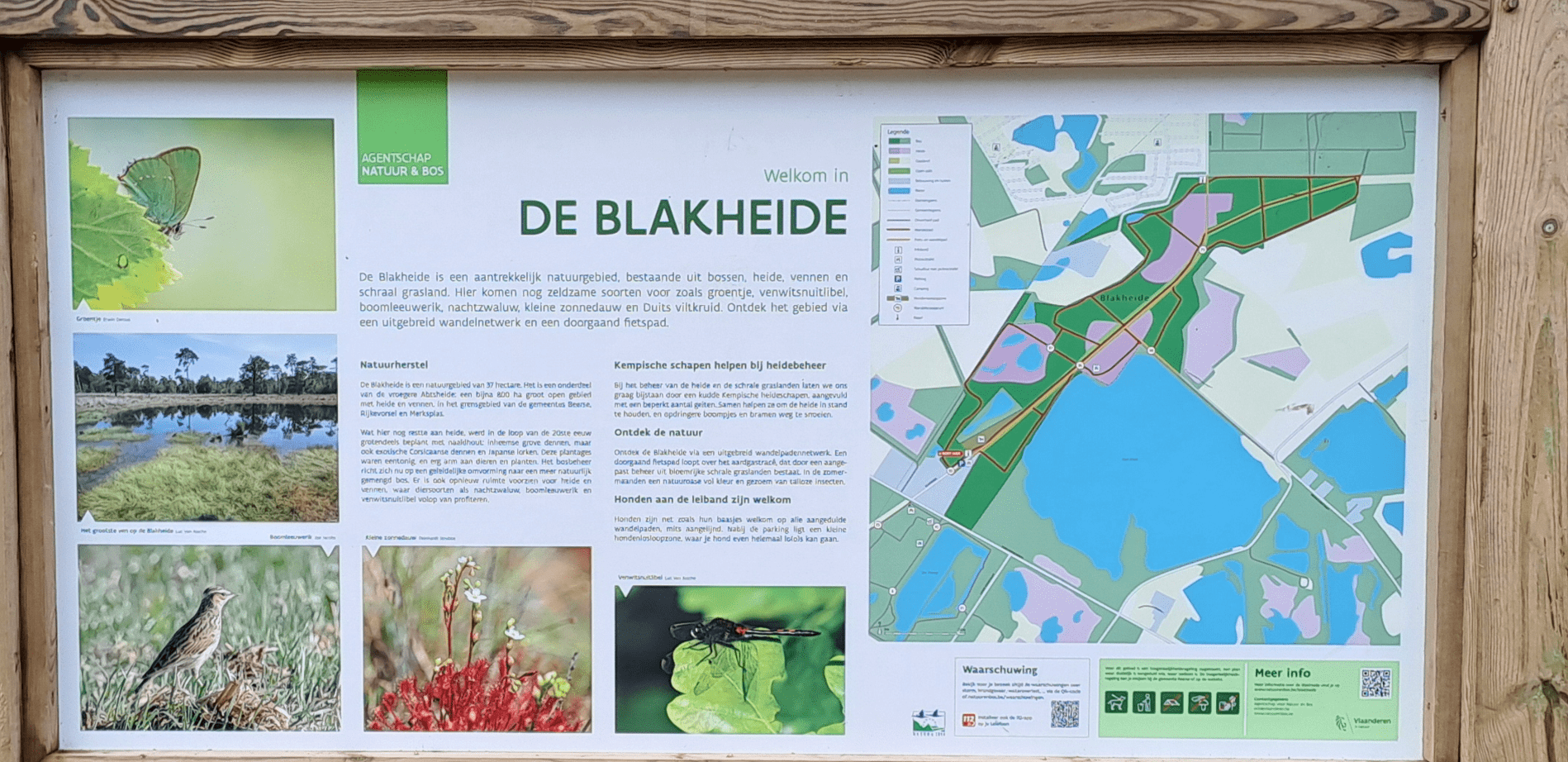 blakheide bord