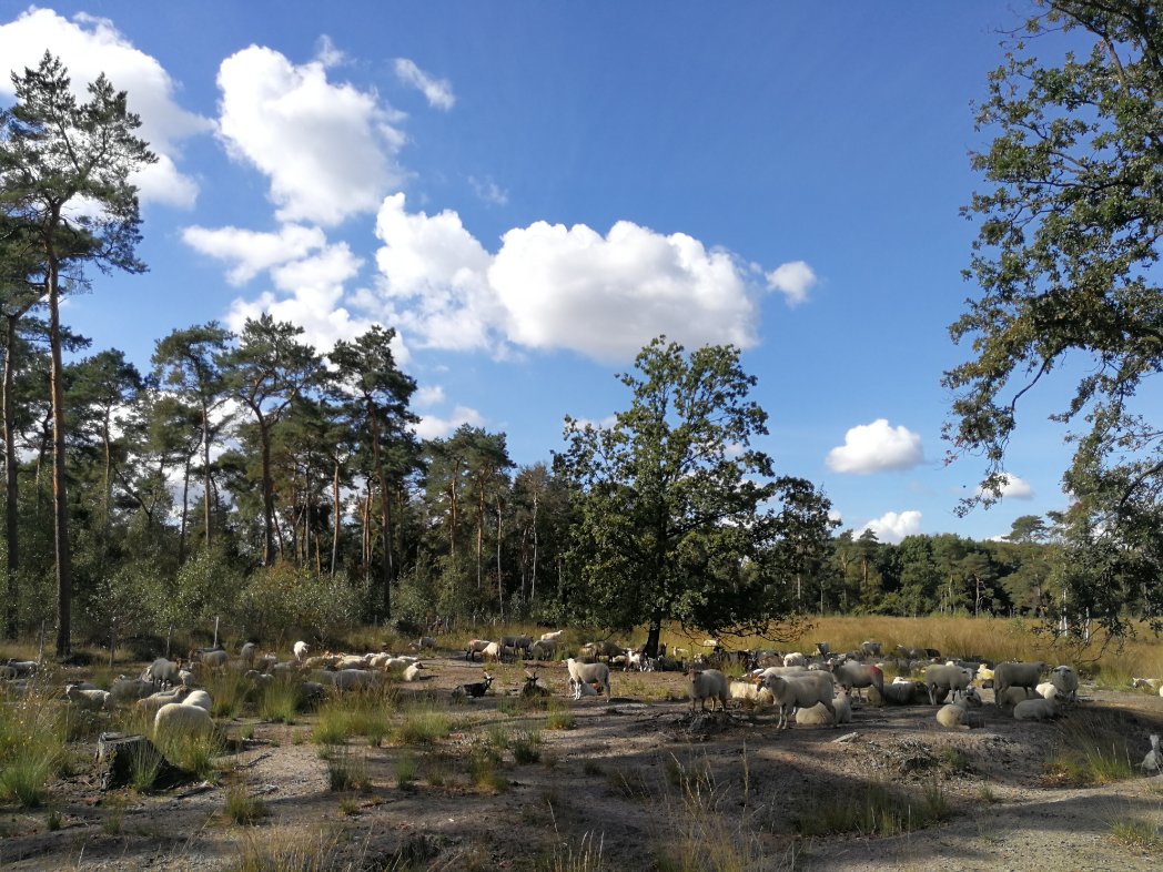 images/omgeving/blakheide106.jpg
